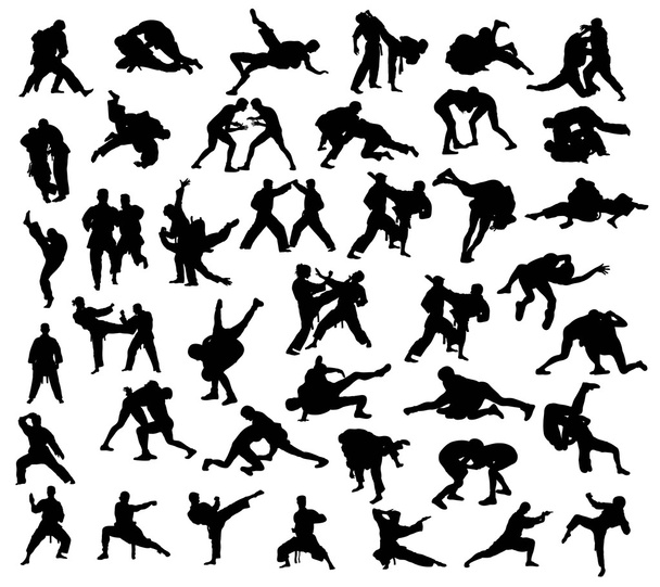 Silhouette of martial arts competition - Vector, Image