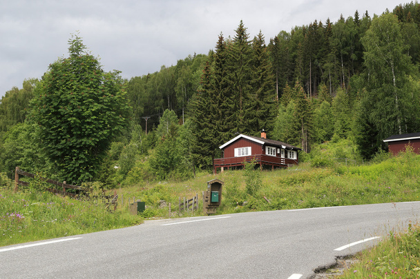 Houses in Torpo - Foto, Bild