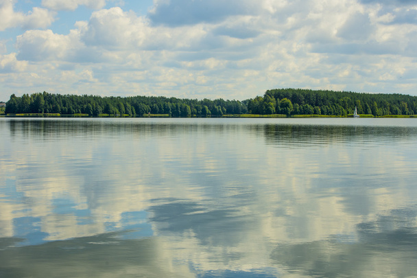erdei tó partján - Fotó, kép
