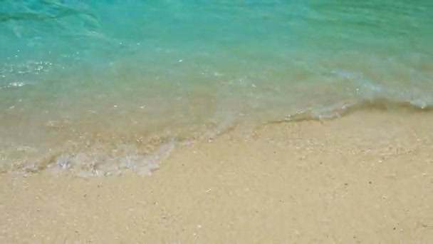 Lempeä aallot pesu yli Trooppinen hiekkaranta
 - Materiaali, video