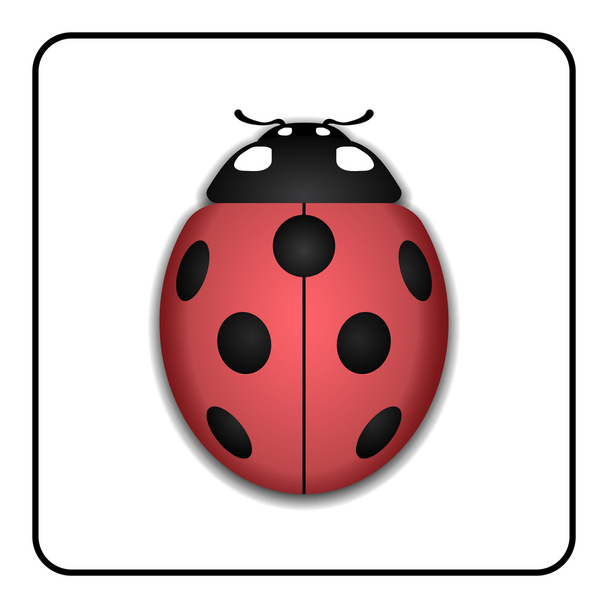 Ladybug red cartoon icon realistic - Vektör, Görsel