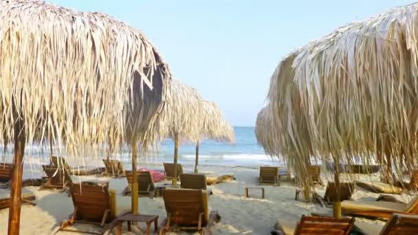 Stro parasols en houten zeebodems op het strand - Video