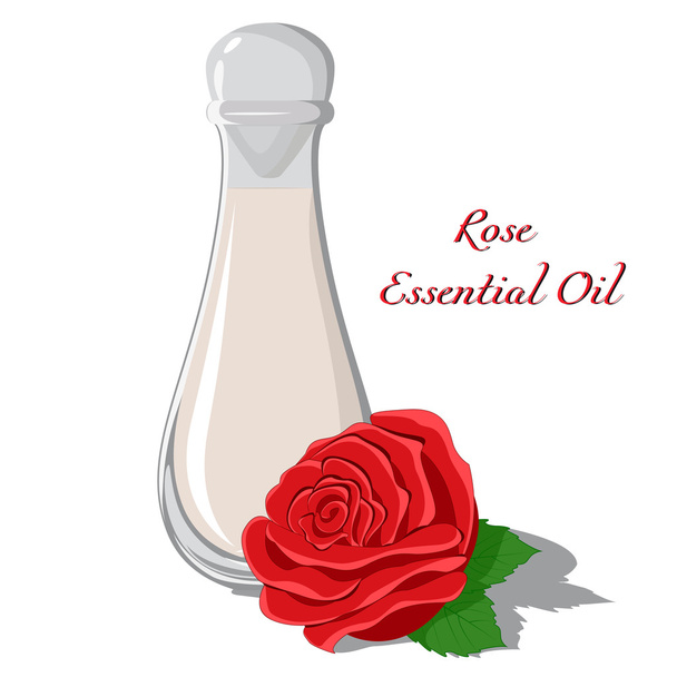 Rose etherische olie - Vector, afbeelding