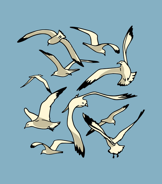 Sea gulls illustration - Vektör, Görsel