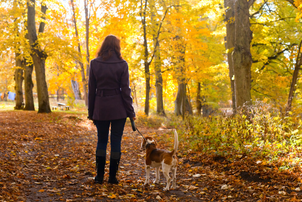 Femme avec chien dans le parc d'automne
 - Photo, image