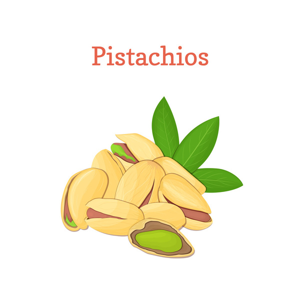 Pistachio nuts with leaves. Vector illustration of a handful of nuts isolated on white background it can be used as packaging design element, printing brochures on healthy and vegetarian diet - Vector, Image