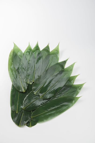 Το φύλλο μπαμπού που ένα πράσινο φύλλο μεγαλώνει όταν είναι φθινόπωρο - Φωτογραφία, εικόνα