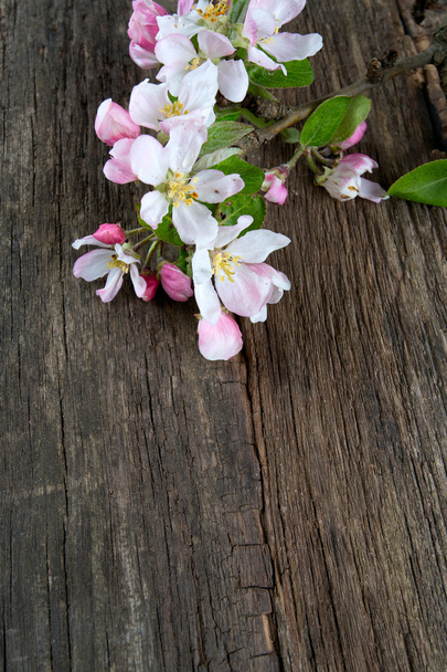 Jabłko kwiaty na powierzchni drewnianych - Zdjęcie, obraz