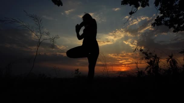Silueta de la Niña Femenina Yoga en el Fondo de la Postura del Árbol del Cielo al Atardecer
 - Imágenes, Vídeo