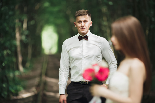 Gorgeous smiling groom. Handsome man in a suite - Фото, изображение