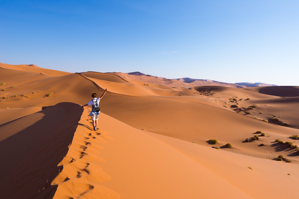 Turista caminando por las dunas pintorescas de Sossusvlei, desierto de Namib, Parque Nacional de Namib Naukluft, Namibia. Luz de la tarde. Aventura y exploración en África
. - Foto, imagen
