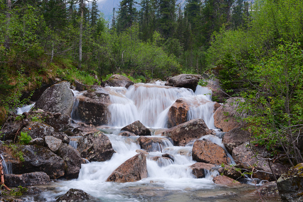 Lesní vodopád - Fotografie, Obrázek