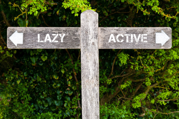 LAZY versus ACTIVE directional signs - Photo, Image