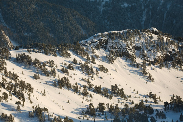 Skiing slopes from the top - Photo, image