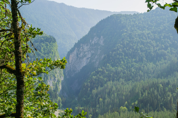 mountain forest landscape - Foto, Bild