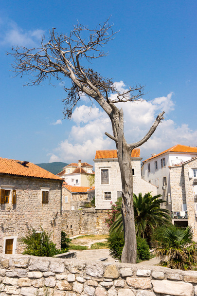 Velho Budva em Montenegro
 - Foto, Imagem