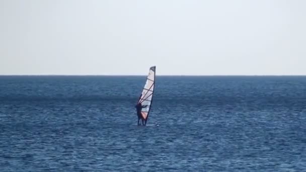 Windsurfen in ruhiger See - Filmmaterial, Video