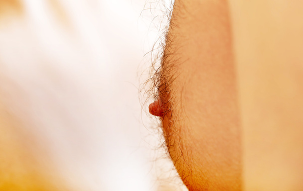 Male nipple on the chest. - Φωτογραφία, εικόνα