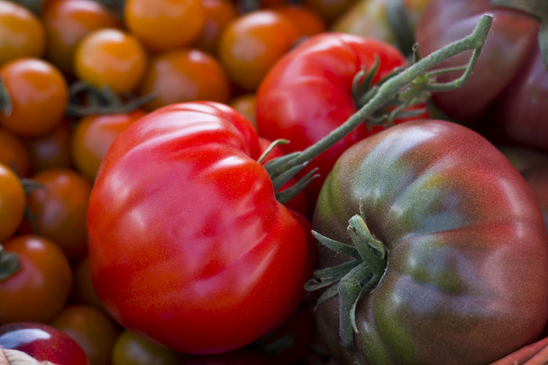 Tomaten-Erbstück - Foto, Bild