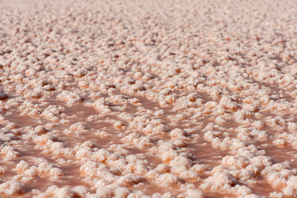 Zout formaties in een gedroogde poel van de zoutwerken nabij Burgas, Bulgarije, Oost-Europa - Foto, afbeelding