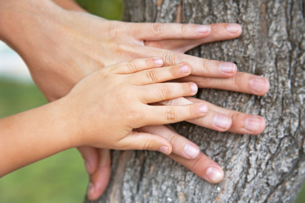 Family hands on tree trunk background - Zdjęcie, obraz