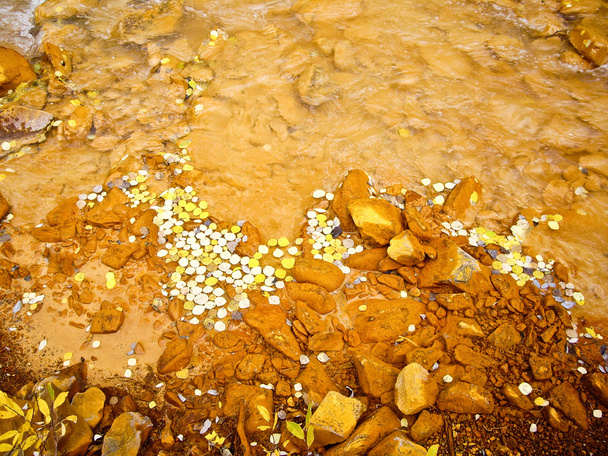 Arroyo fangoso con hojas de álamo amarillo
 - Foto, Imagen