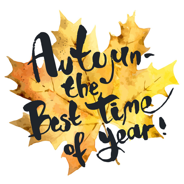 Autumn is the best time of year - Vector, Image