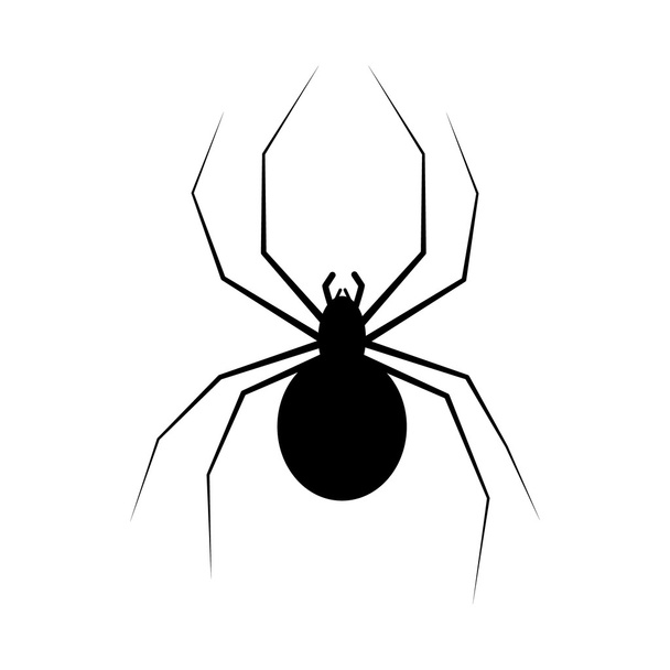spider isolated on white - Vettoriali, immagini