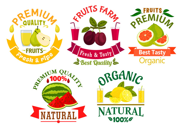Natural fruit symbols for agriculture design - Διάνυσμα, εικόνα