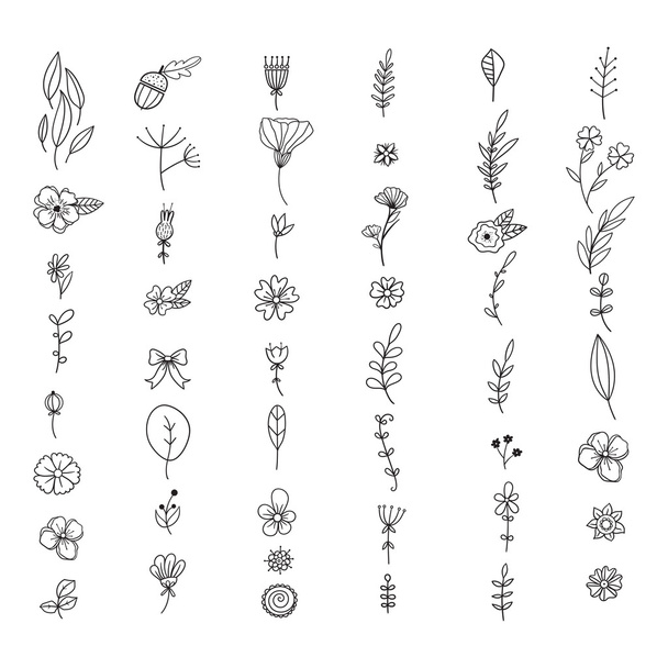 Set of hand drawn doodle flowers and plants. - Vettoriali, immagini