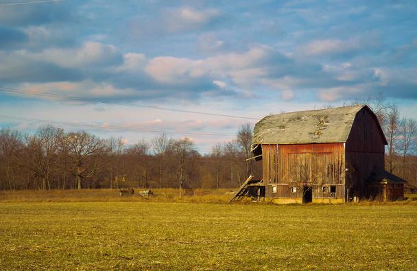 Weathered old barn - Photo, Image
