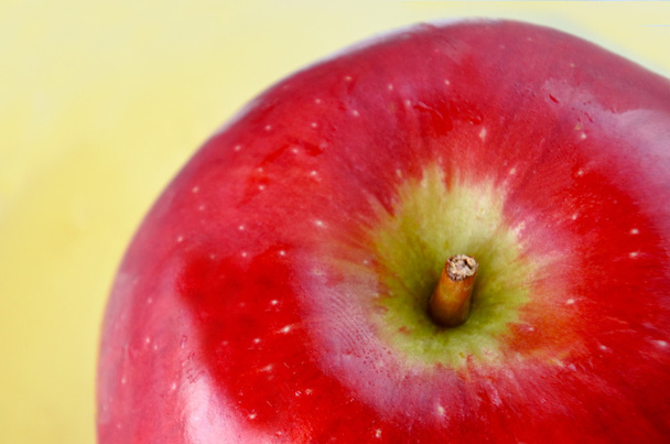 Apfel und Honig Hintergrund für rosh hashanah das jüdische neue ja - Foto, Bild