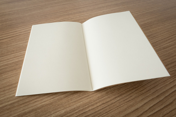 blank open book - Foto, Imagem