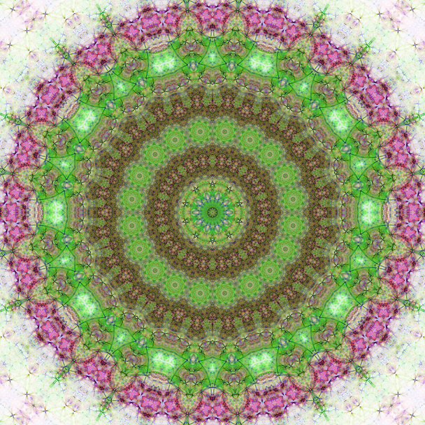 Green nature themed fractal mandala, digital artwork for creative graphic design - Photo, Image