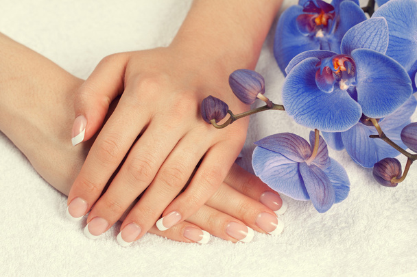 Mãos femininas com manicure francês
 - Foto, Imagem
