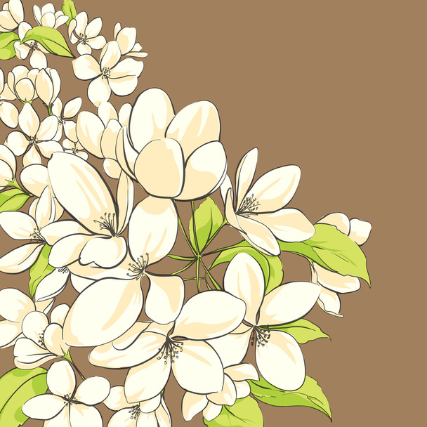 Apple tree floral background  - Vektör, Görsel