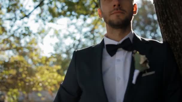 Portrait of the groom - Footage, Video