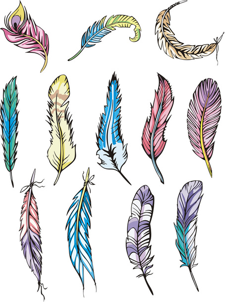 Motley feathers - Vector, Image