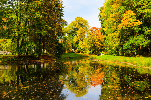 colorful autumn park - Foto, immagini