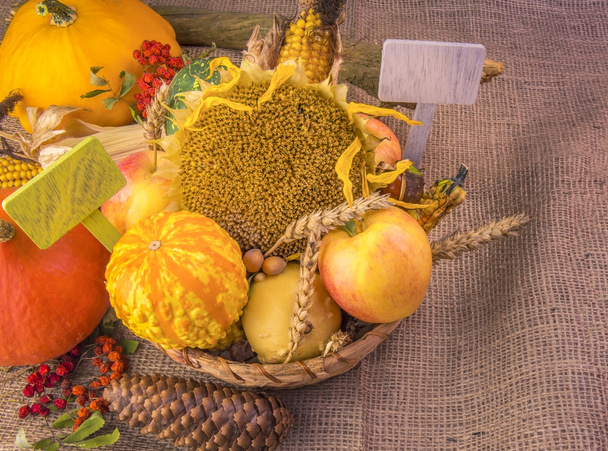 Weidenkorb mit einer Fülle von Herbstprodukten - Foto, Bild