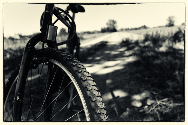 La rueda
 - Foto, imagen