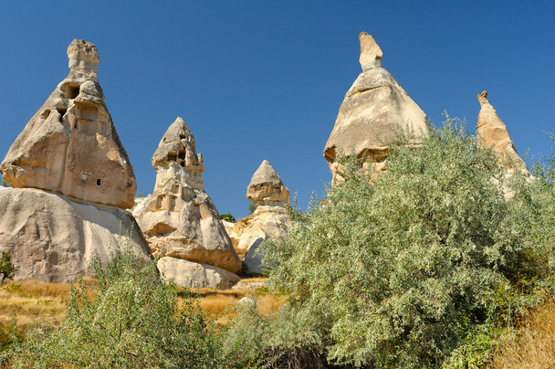 Cappadocia - Foto, imagen