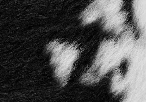 Fragment de peau de vache en gros plan sur une photo de fond
 - Photo, image