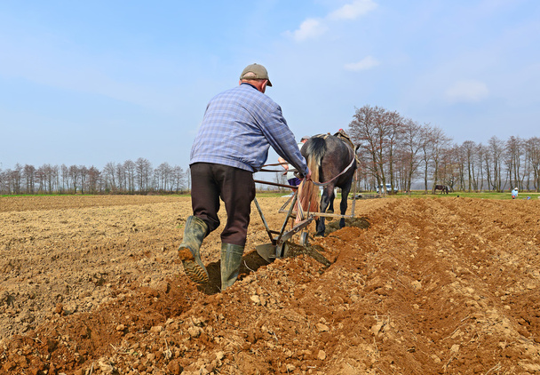 Odłogowania pola wiosną przez pług ręcznego na konny - Zdjęcie, obraz