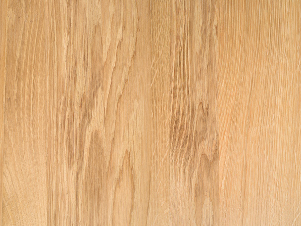 ένα θραύσμα ξύλινου φύλλου σκληρού ξύλου - Φωτογραφία, εικόνα