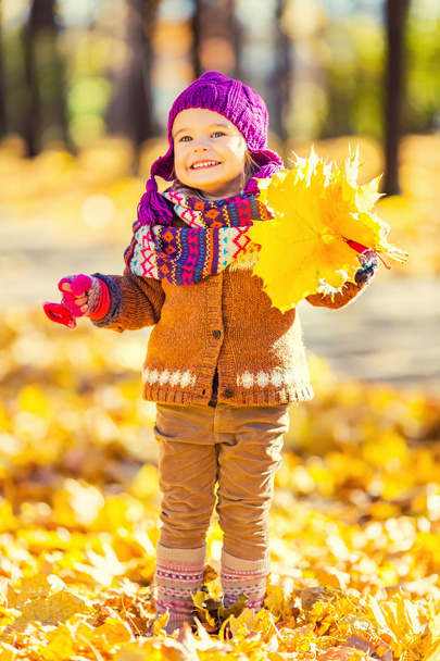 Little girl playing with autumn leaves - Foto, Imagen
