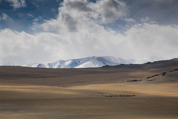 Пейзаж Западной Монголии
 - Фото, изображение