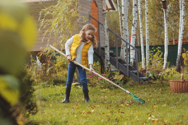 happy child girl playing little gardener in autumn and picking leaves into basket. Seasonal garden work. Backyard cleaning. - Фото, зображення