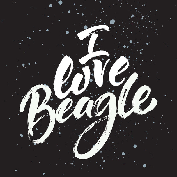 I love beagle card. - Vector, Imagen