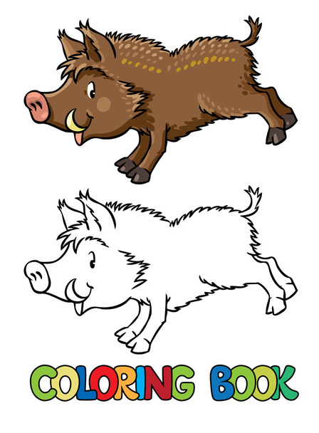 Livro de colorir de pequeno javali engraçado ou porco selvagem
 - Vetor, Imagem